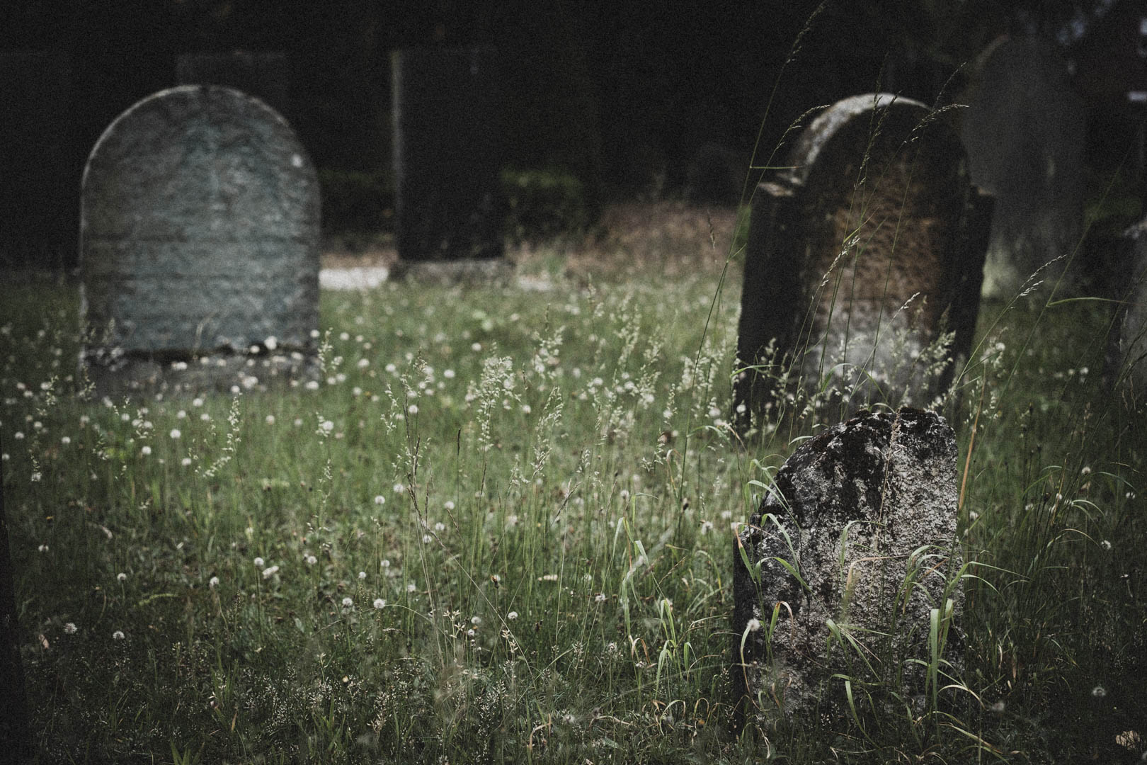 Rheda Wiedenbrück 0503